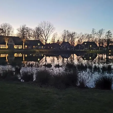 In With Swimming Pool