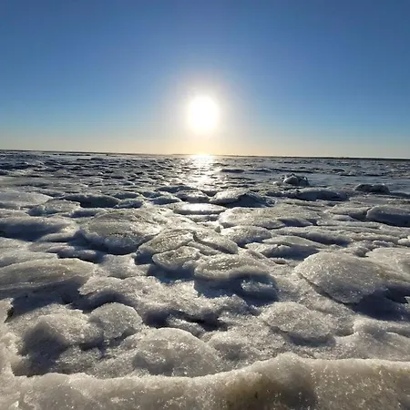 In With Swimming Pool