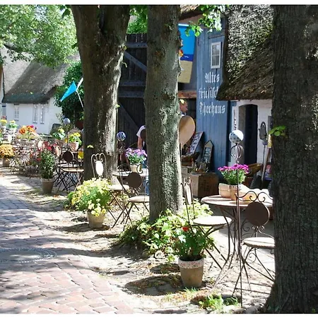 In With Swimming Pool *